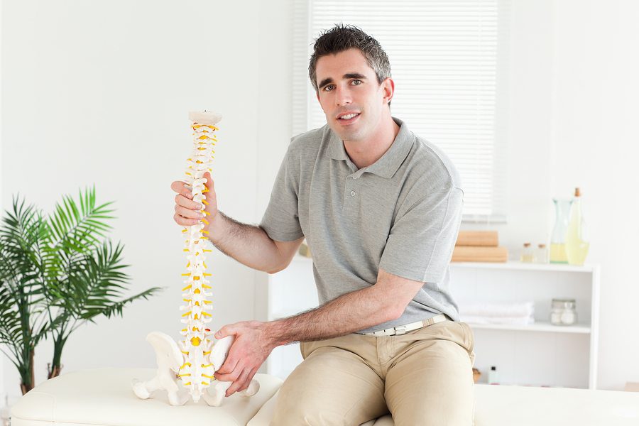 Male physiotherapist or chiropractor sitting on a treatment table while holding a model of the human spine.
