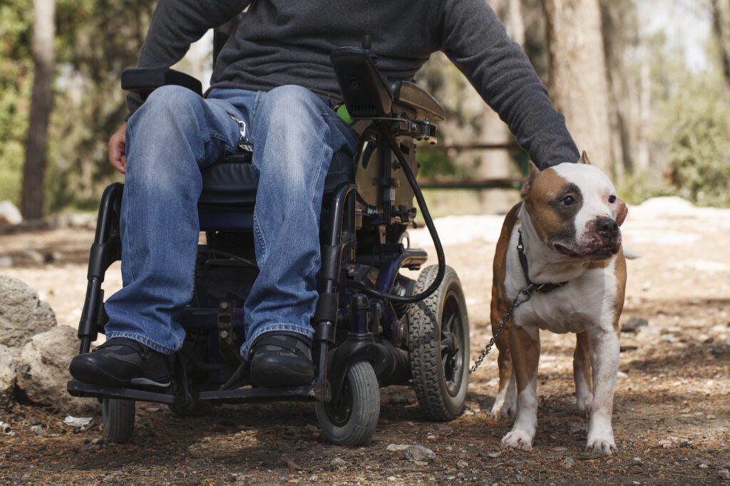 Person in wheelchair outdoors with service dog during rehabilitation evaluation.